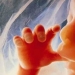 Unique photos: a girl's life before birth Unique photos: a girl's life before birth