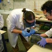 Unusual greetings in light of the past: the frightening findings in time capsules Unusual greetings in light of the past: the frightening findings in time capsules