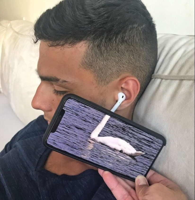 Unusual in the ordinary: 30 funny photo collages made with a smartphone