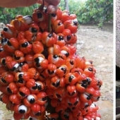 Up to goosebumps: 22 photos in which you see something terrible Up to goosebumps: 22 photos in which you see something terrible