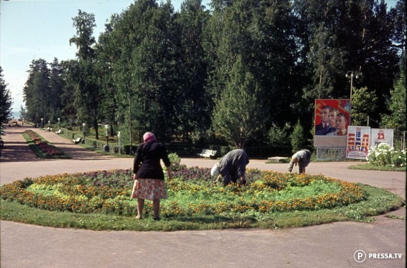 USSR in color: photographs of streets of Leningrad in the 1960s of the year USSR in color: photographs of streets of Leningrad in the 1960s of the year