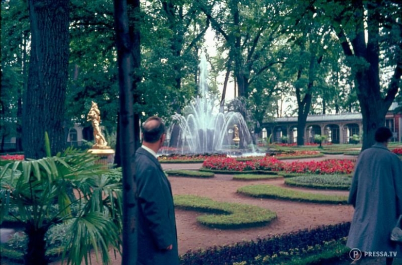 USSR in color: photographs of streets of Leningrad in the 1960s of the year USSR in color: photographs of streets of Leningrad in the 1960s of the year