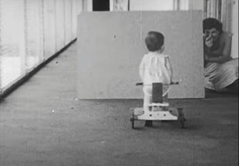 Víctima de la ciencia: cómo una pareja de psicólogos hizo de su hijo un sujeto de prueba en un experimento con un chimpancé Víctima de la ciencia: cómo una pareja de psicólogos hizo de su hijo un sujeto de prueba en un experimento con un chimpancé