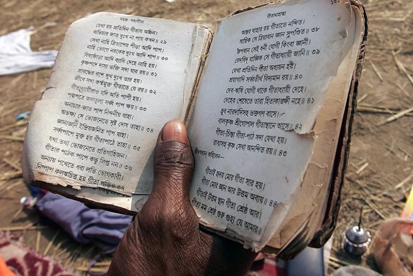 Vedic Wives: Quit your job, take off your underwear and be happy! Vedic Wives: Quit your job, take off your underwear and be happy!