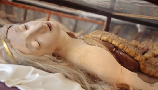 Venus anatómica, en la que estudiaron los patólogos del siglo XVIII