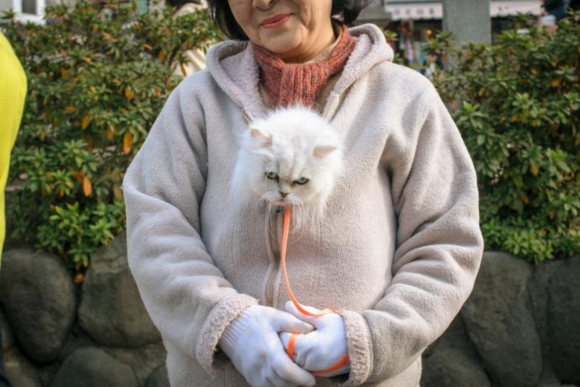Ver lo increíble en lo ordinario: cuál es el secreto de las maravillosas fotos callejeras de Shin Noguchi Ver lo increíble en lo ordinario: cuál es el secreto de las maravillosas fotos callejeras de Shin Noguchi