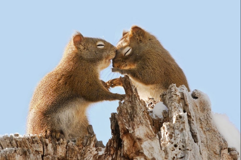 Very well animal lovers Very well animal lovers