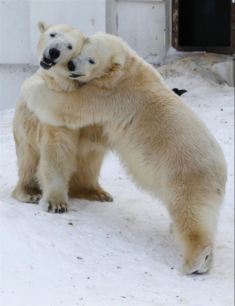 Very well animal lovers Very well animal lovers