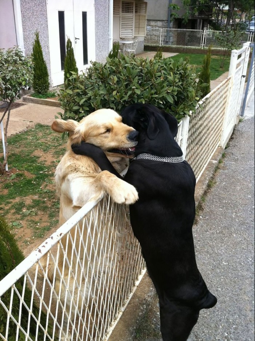 Very well animal lovers Very well animal lovers