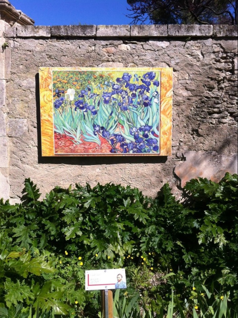 Vincent Van Gogh - about the experience of experiencing a mental disorder
