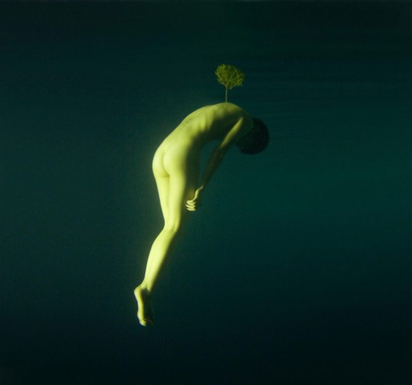 Volando bajo el agua en las maravillosas obras fotográficas de Katerina Bodrunova