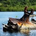 War Machines of the Second World War, lost on distant islands in the Pacific Ocean War Machines of the Second World War, lost on distant islands in the Pacific Ocean