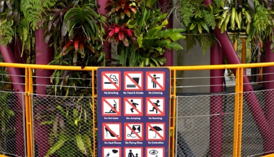 We don't understand: why are they fined and imprisoned in Singapore