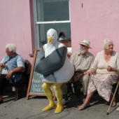 &quot;We shoot to make people ask questions&quot;: a selection of photos desperately demanding explanations