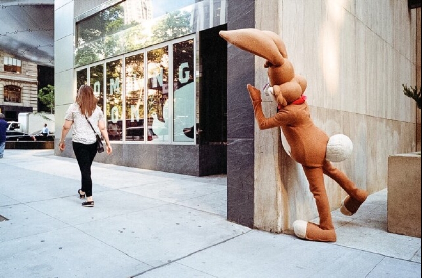 &quot;We shoot to make people ask questions&quot;: a selection of photos desperately demanding explanations