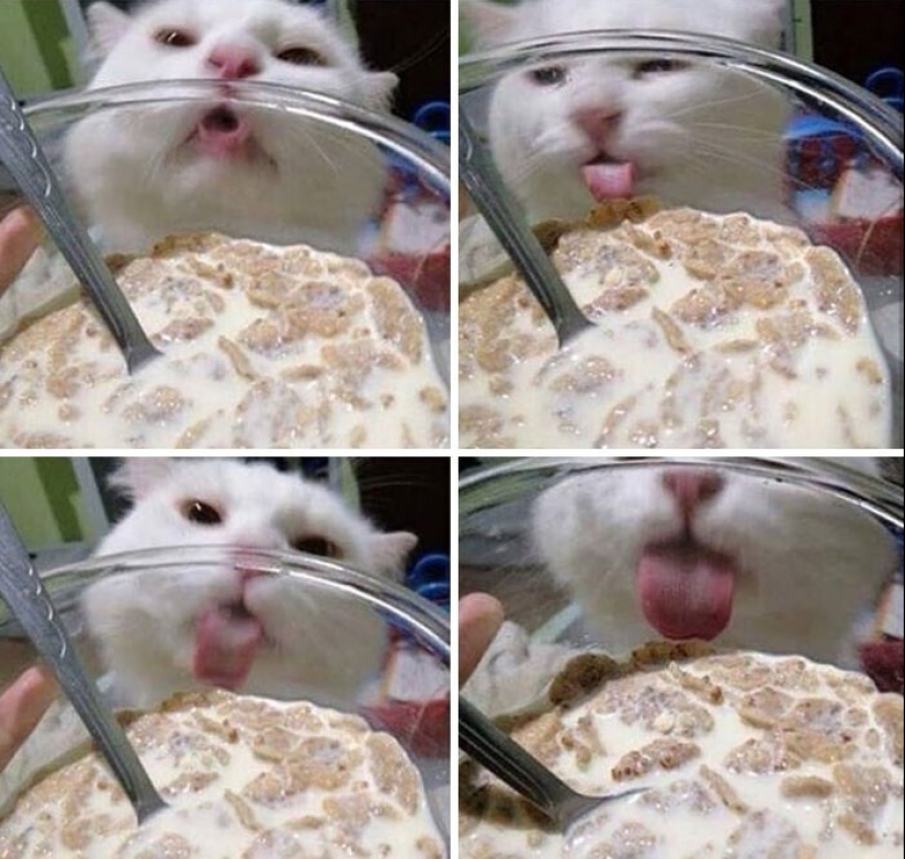 We tried, but it didn't work out: 35 examples when everything ended in failure