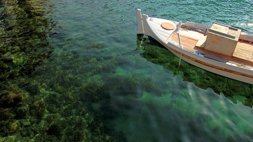 Weightlessness on the water