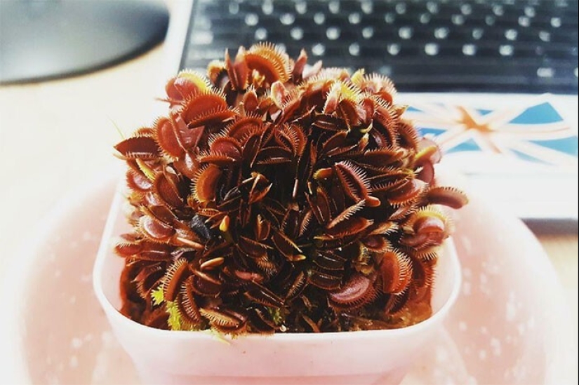 Well, wow! 27 photos from the WTF Reddit community