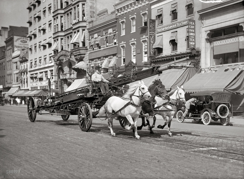 What American megacities looked like at the beginning of the 20th century What American megacities looked like at the beginning of the 20th century