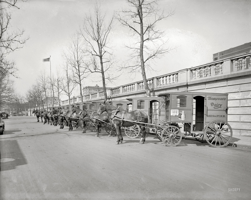 What American megacities looked like at the beginning of the 20th century What American megacities looked like at the beginning of the 20th century
