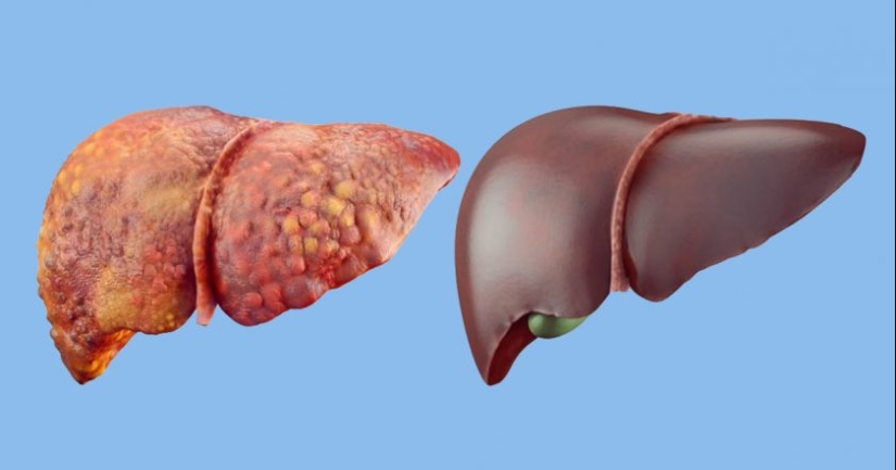What changes will occur in the body, if not to drink alcohol for 28 days What changes will occur in the body, if not to drink alcohol for 28 days