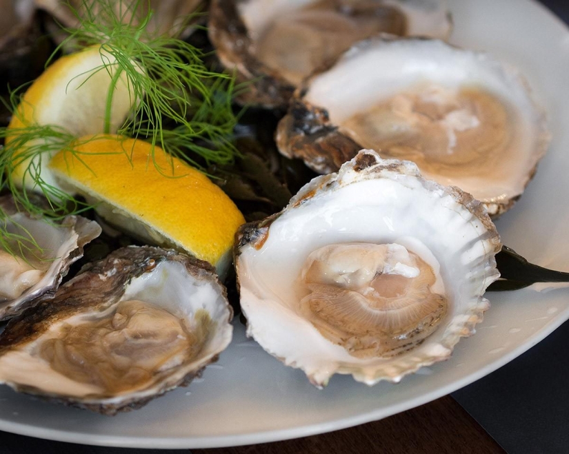 What dishes are worth trying in the Netherlands What dishes are worth trying in the Netherlands