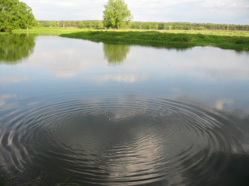 What do they dream about on the night of Ivan Kupala