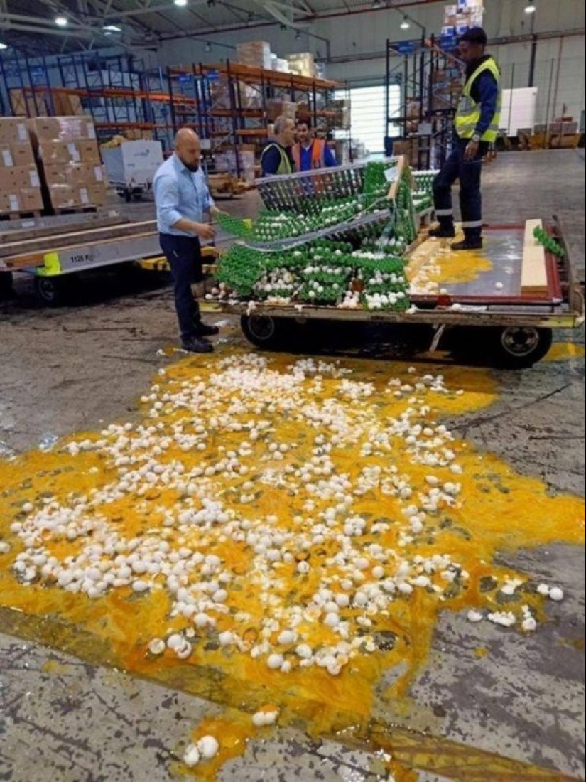 What do you know about bad luck?! 20 people who were having a really bad day