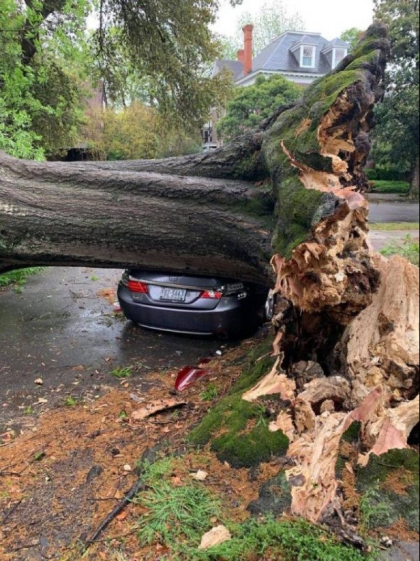 What do you know about bad luck?! 20 people who were having a really bad day