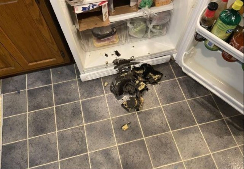What do you know about bad luck?! 20 people who were having a really bad day