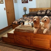 What does a special bed with a sleeping place for pets look like? What does a special bed with a sleeping place for pets look like?