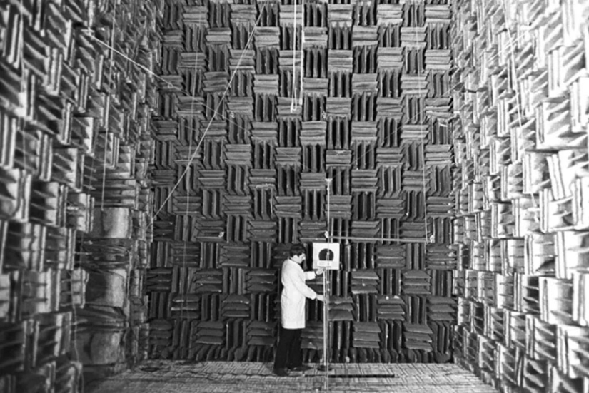 What does the quietest place on Earth look like, where the absence of sounds drives you crazy? What does the quietest place on Earth look like, where the absence of sounds drives you crazy?