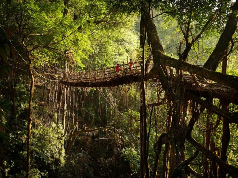 What does the wettest place on Earth look like, a town in the Indian state of Meghalaya
