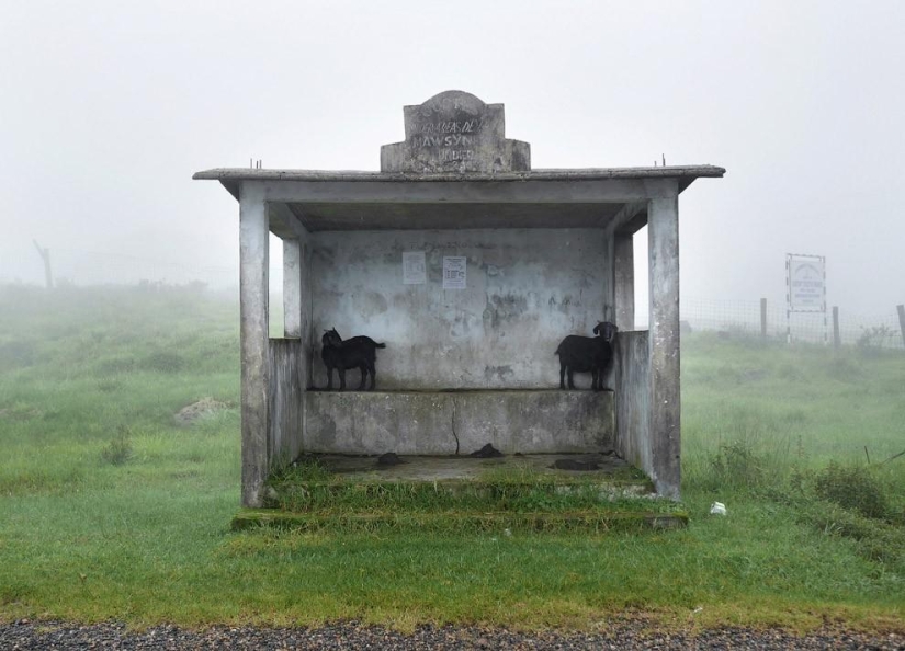 What does the wettest place on Earth look like, a town in the Indian state of Meghalaya