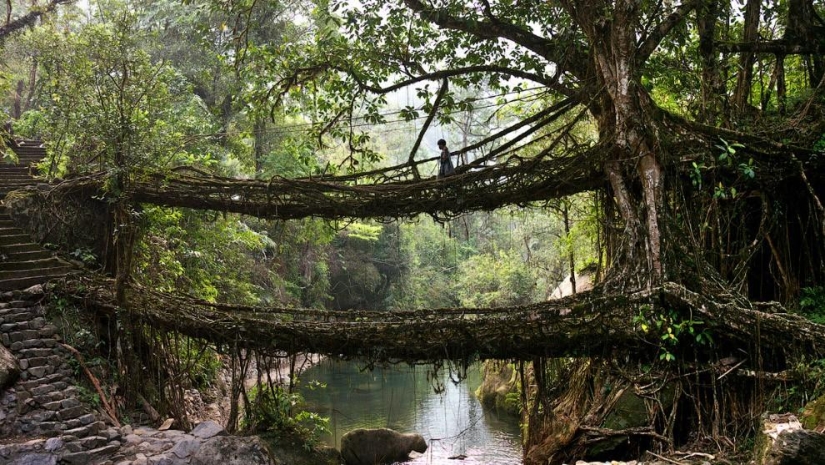 What does the wettest place on Earth look like, a town in the Indian state of Meghalaya