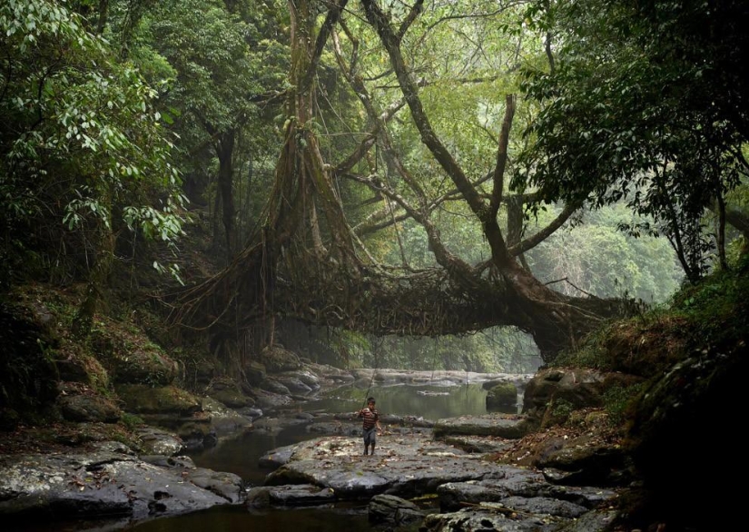 What does the wettest place on Earth look like, a town in the Indian state of Meghalaya