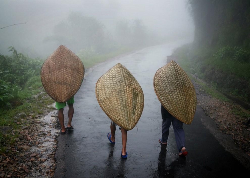 What does the wettest place on Earth look like, a town in the Indian state of Meghalaya