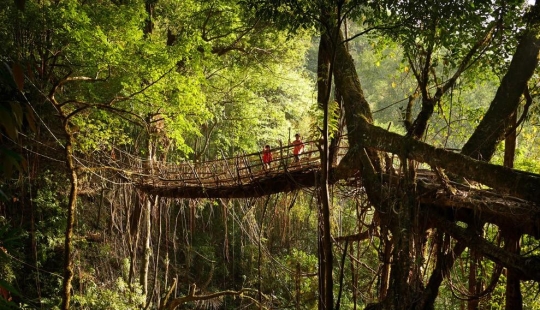 What does the wettest place on Earth look like, a town in the Indian state of Meghalaya