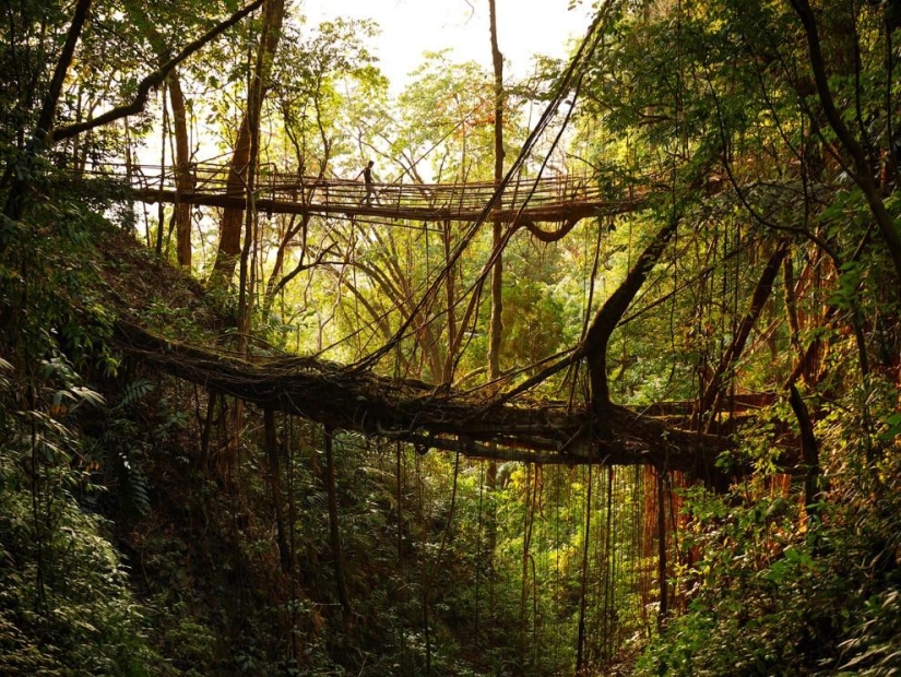 What does the wettest place on Earth look like, a town in the Indian state of Meghalaya