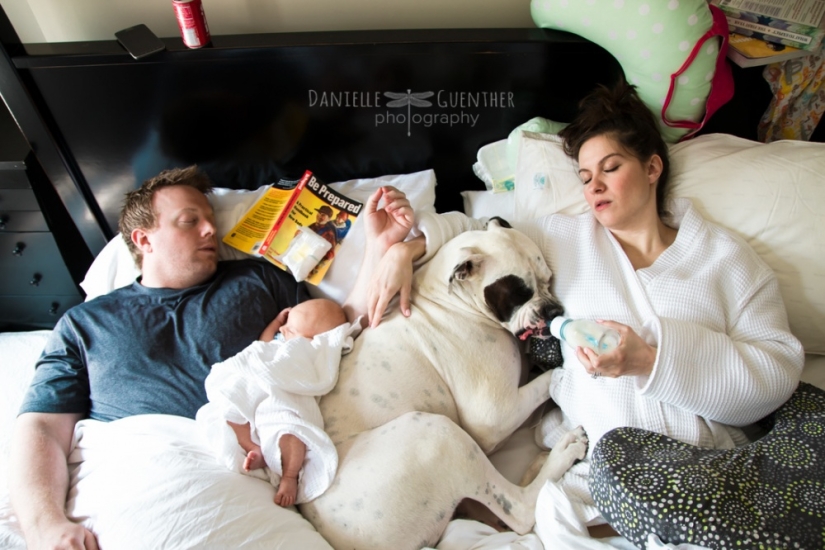 What family life really looks like What family life really looks like
