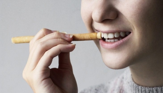 What is a miswak and can it replace our toothbrush