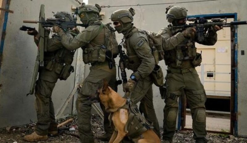 What is an "Oenothera" or How dogs serve in the Israeli army