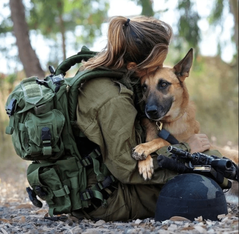 What is an "Oenothera" or How dogs serve in the Israeli army