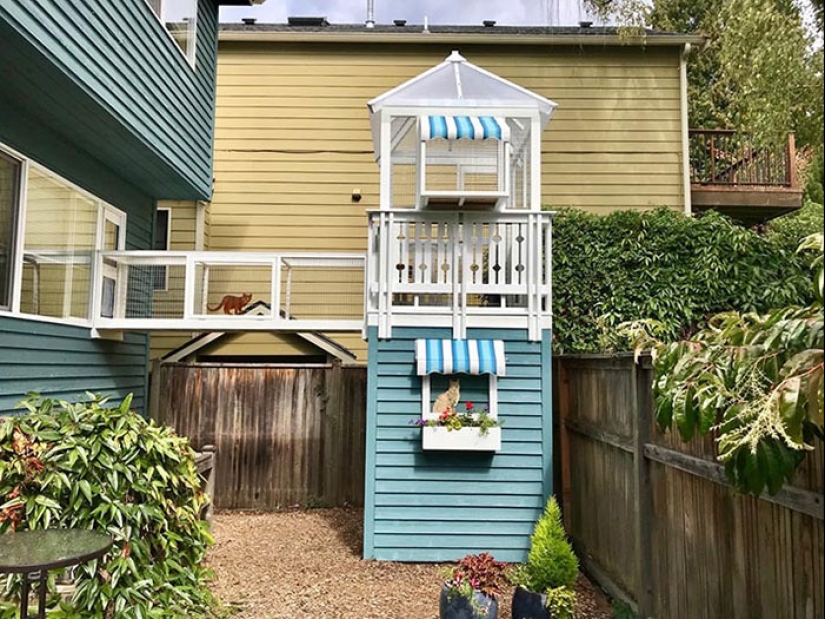 What is and is Koti, Playground for cats outdoors