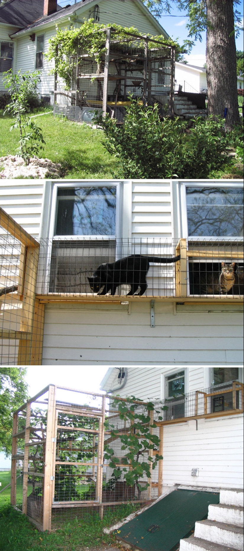 What is and is Koti, Playground for cats outdoors