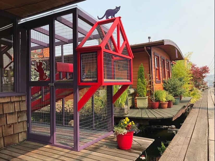 What is and is Koti, Playground for cats outdoors