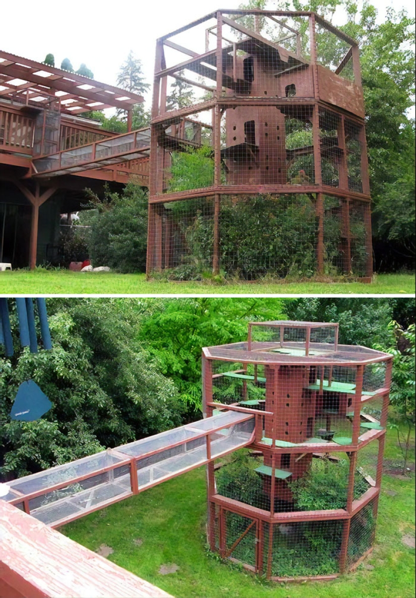 What is and is Koti, Playground for cats outdoors