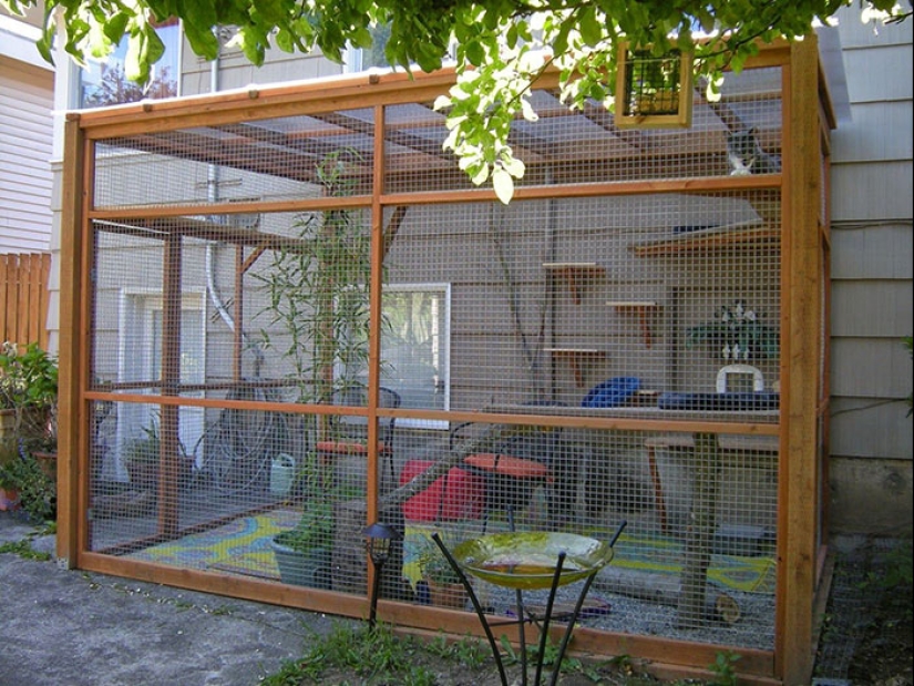 What is and is Koti, Playground for cats outdoors