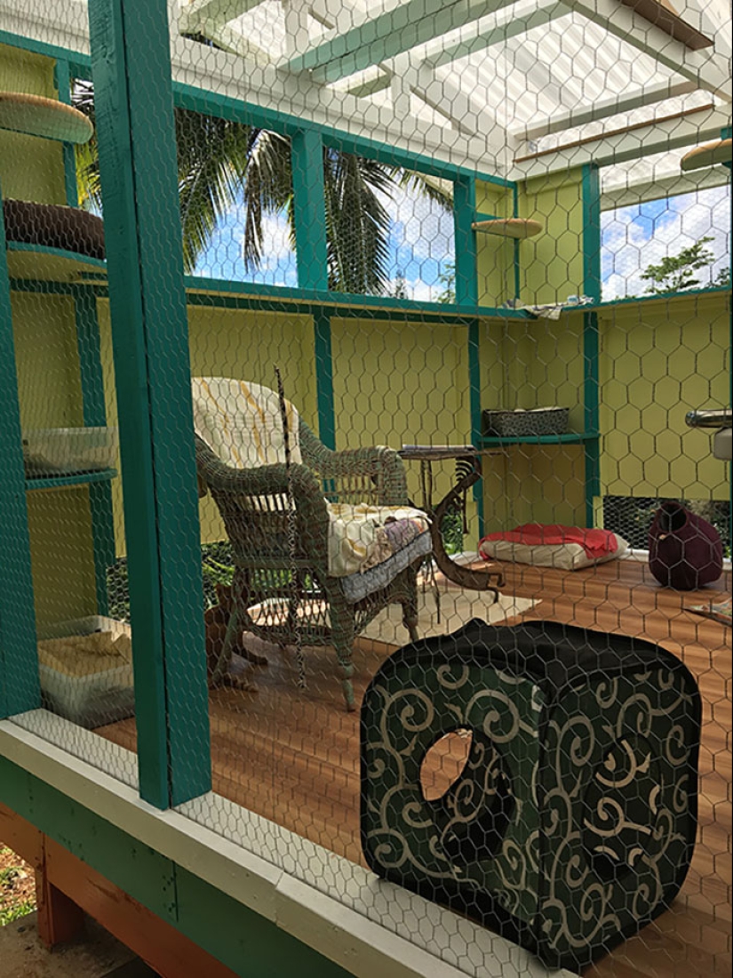What is and is Koti, Playground for cats outdoors