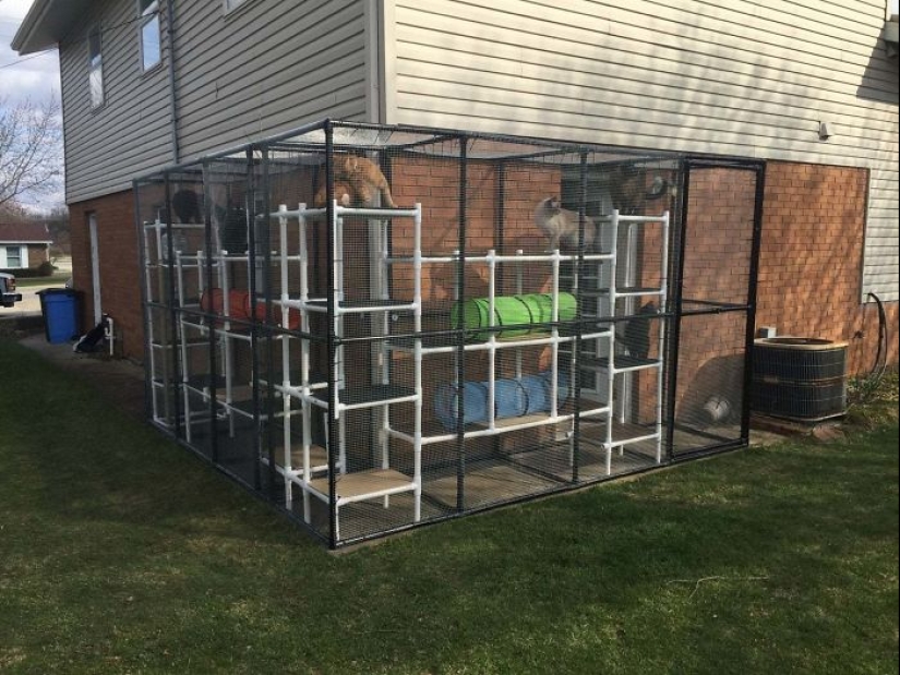 What is and is Koti, Playground for cats outdoors